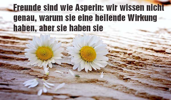 An freund spruch Süße Texte